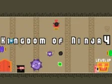 Regatul Ninja 4